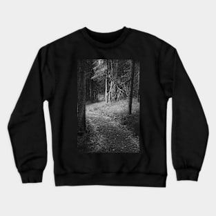 Sketchy Path Crewneck Sweatshirt